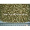 chinese lentils mixed color