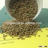 dried green lentils export lentils
