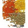 Dried Green Lentils, Red Lentils