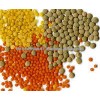 Whole And Split Lentils/Red Lentils/Green Lentils