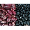 2013 new crop big black beans/black kidney beans/black lentils