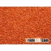 Red lentil and more Spices