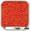 RED LENTIL