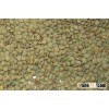 Green lentil