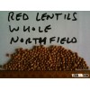 Red Lentils