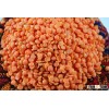 Red Split Lentils