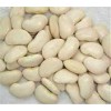 Large lima beans