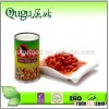 canned pinto beans products in brine with best quality