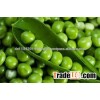 canada green peas