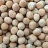 Pigeon Peas
