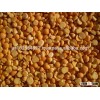 Yellow Split Peas Ukraine