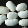 large white beans Northern Beans