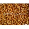 Yellow Split Polished Peas from Ukraine