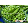 canned green pea