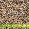 New Crop Chinese Pink Cowpeas,Vigna Beans 2013 Crop