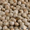 Dry Pigeon Pea very Clean