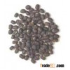 Urad Dal Pulses