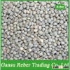 Grey Vetch Peas