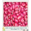 Crop 2015 new crop Red cowpea beans