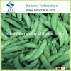 New Crop Full Stringless Frozen Sugar Snap Peas for export