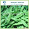 Fully Stringless 2014 Crop IQF Snow Peas Pea Pods