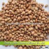 Hot Sale Pink Cowpeas Vigna Beans Competitive Price