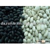 White and Black Kidney Beans