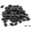 Best Price Black Kidney Beans for sale