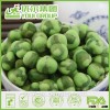 Japanese hot wasabi green peas ,HACCP,ISO22000