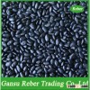 Small Black Kidney Beans Flat Type