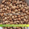 High Quality And Best Selling Wholesale Cowpeas