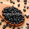 China black beans with competitive price for sale