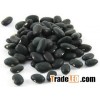 Black kidney beans