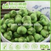 Yellow Wasabi Green Peas, Japanese Style Wasabi Peas