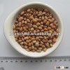 Sell China Cowpeas 2013 Crop Competitive Price