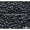 Black Kidney Beans
