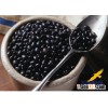 Chinese black bean with good quality