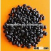 Polished black kidney beans HPS
