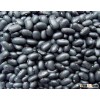 New Crop Black Kidney Bean