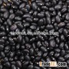 Chinese Samll Black kidney Bean