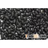 Black beans
