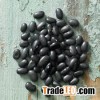 Bulk Organic black kidney bean