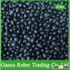 Round Black Beans