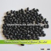 2013 Crop Cooking Good Sale Black Kidney Beans