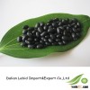 2013 Crop Black Kidney Beans Wholesale Price