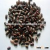 Made In China black speckled beans Alibaba Suppliers green world products