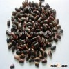 Export Black speckled kidney bean with Organic Black Beans For Sale