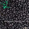 Nature Agriculture Beans 2014 New Crop Best Price of Black Bean/ Black Kidney Beans On Sale China Or