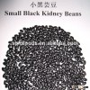Black bean green yellow kernel round black bean all types of beans