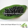 HPS Dried Black Kidney Beans, 100% Good Quality